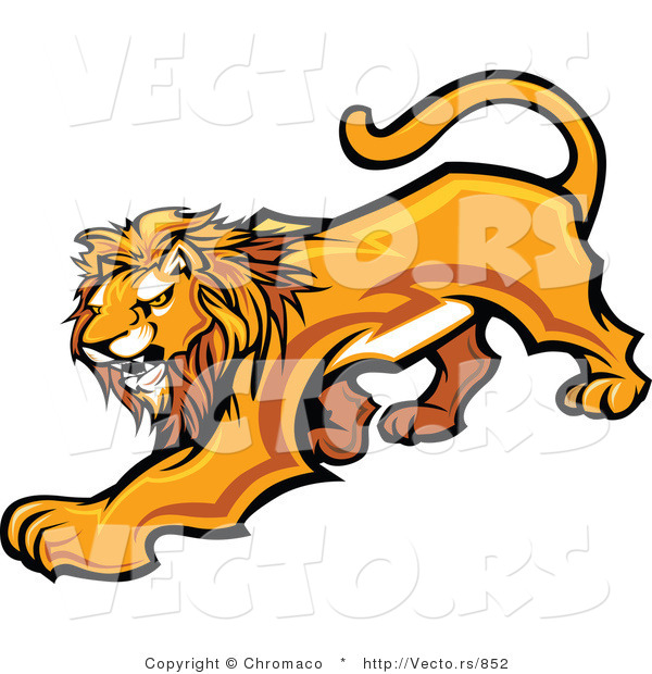 Vector of an Adult Male Lion Prowling