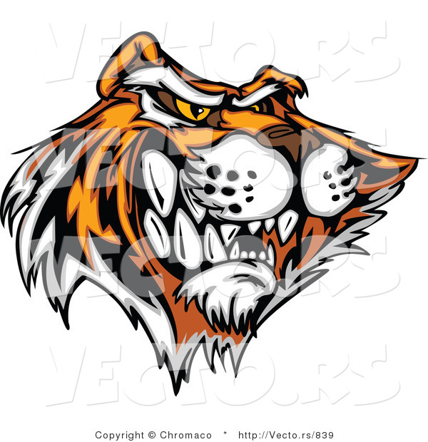 Vector of an Aggressive Cartoon Tiger Mascot Growling