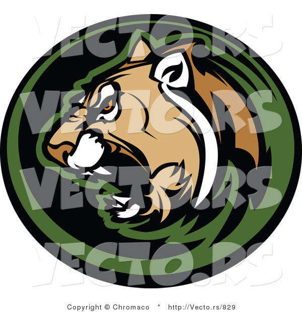 Vector of an Aggressive Cougar Roaring