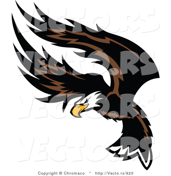 Vector of an American Bald Eagle Flapping Wings During Flight