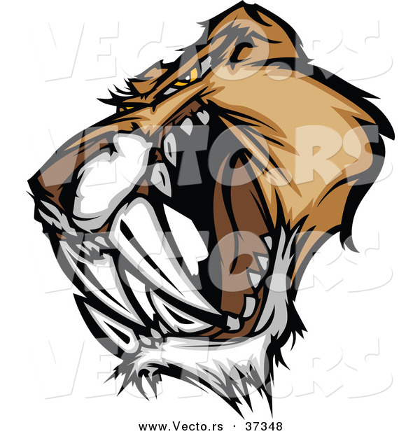 Vector of an Intimidating Cartoon Saber Tooth Tiger Head Growling