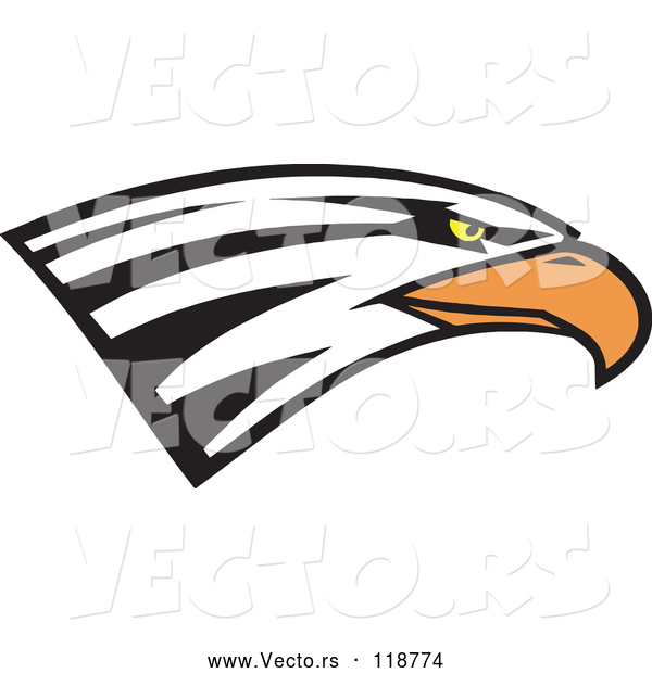 Vector of Bald Eagle Head