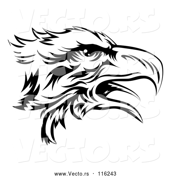Vector of Black and White Eagle Head in Profile