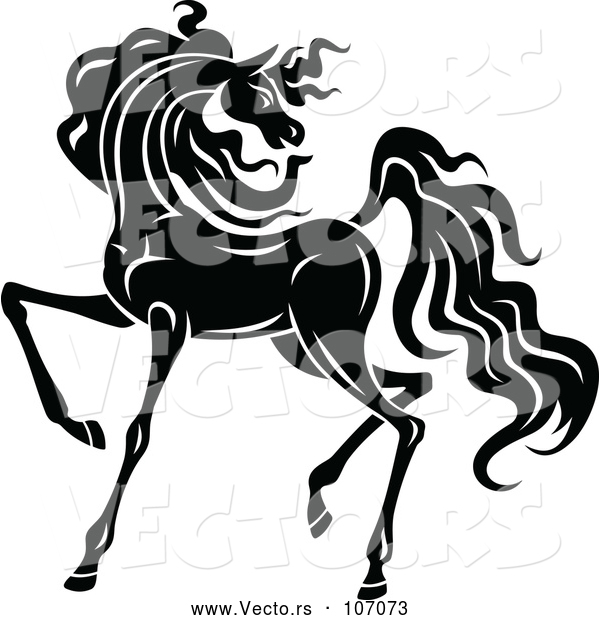 Vector of Black and White Horse