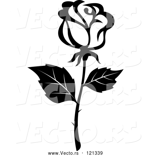 Vector of Black and White Rose Flower 16