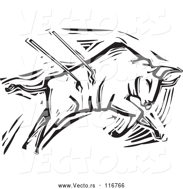 Vector of Black and White Woodcut Bullfighting Bull Stabbed with Spears