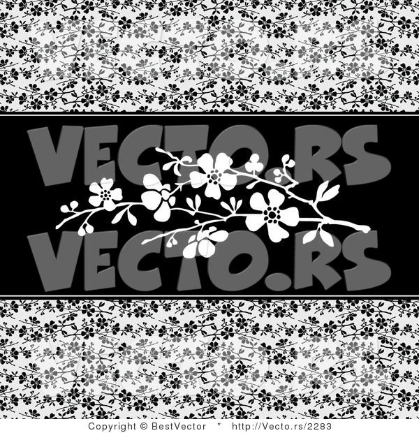 Vector of Black Vines and White Blossoms in the Center - Web Design Background