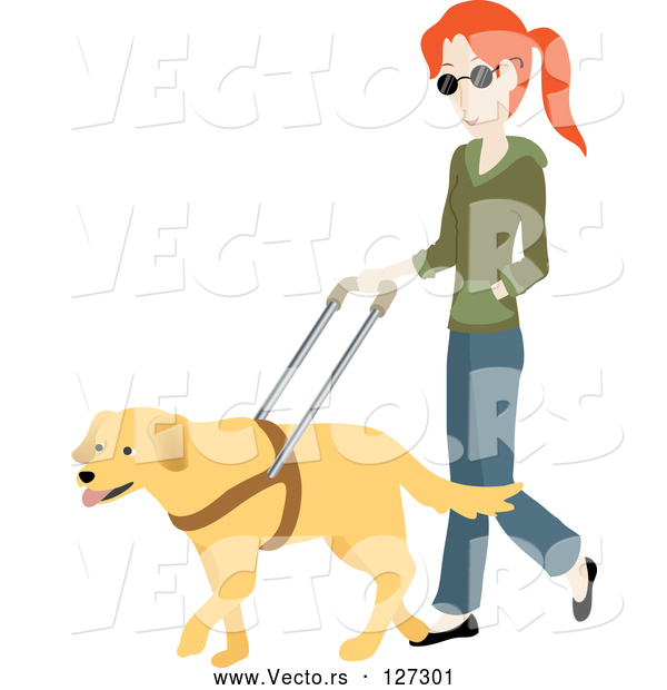 Vector of Blind White Lady Walking with a Yellow Labrador Guide Dog