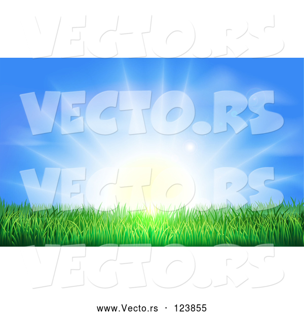 Vector of Bright Sun Shining over Green Grass
