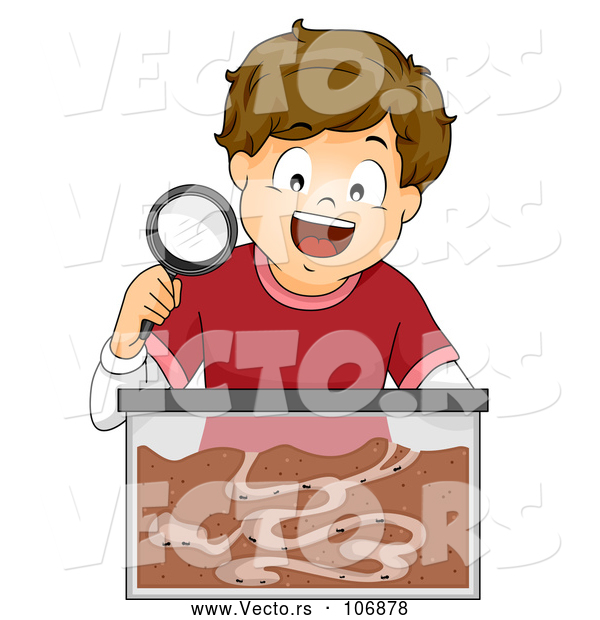 Vector of Brunette White Boy with an Ant Farm Formicarium
