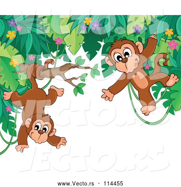 Vector of Cartoon Border of Jungle Foliage with Playful Monkeys