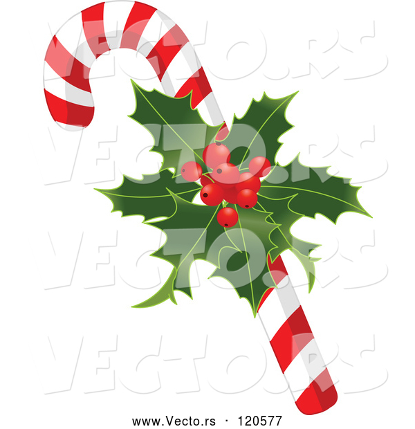 Vector of Cartoon Christmas Peppermint Candy Cane with Holly