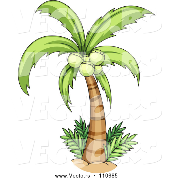 Vector of Cartoon Coconut Palm Tree