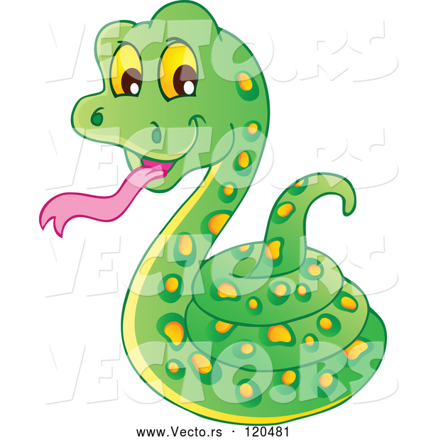 Vector of Cartoon Coiled Green Snake