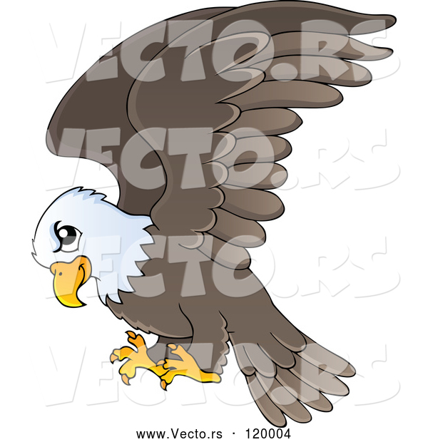 Vector of Cartoon Flying Bald Eagle