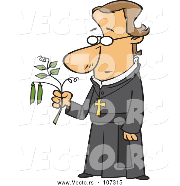 Vector of Cartoon Friar Guy, Gregor Mendel, Holding a Pea Plant