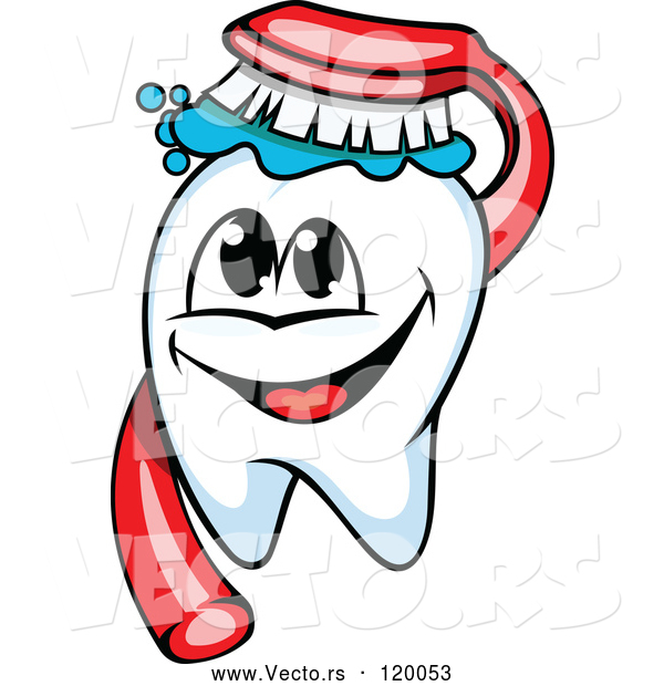 Vector of Cartoon Happy Tooth Mascot and Brush