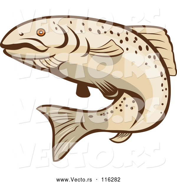 Vector of Cartoon Rainbow Trout Fish