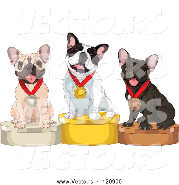 Vector of Cartoon Show French Bulldogs on Placement Podiums