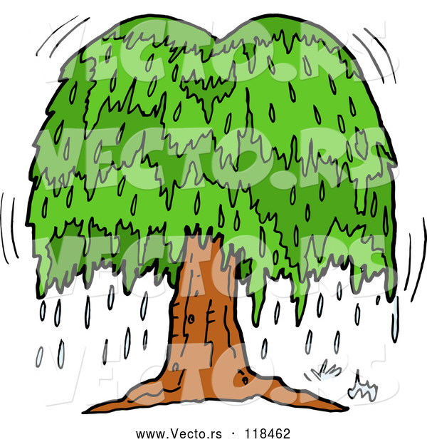 Vector of Cartoon Weeping Willow Tree with Tears