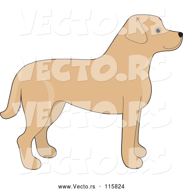 Vector of Cartoon Yellow Labrador Retriever Dog in Profile