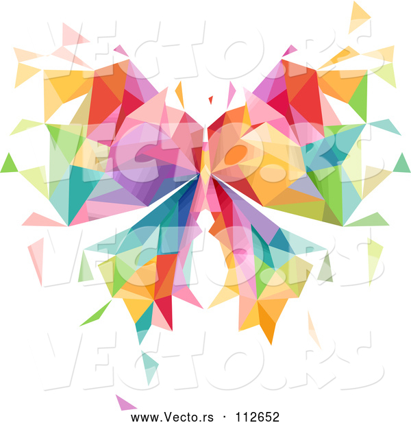 Vector of Colorful Geometric Butterfly