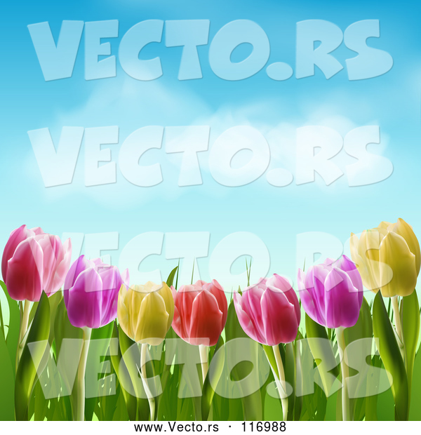 Vector of Colorful Spring Tulip Flowers Under a Blue Sky with Puffy Clouds