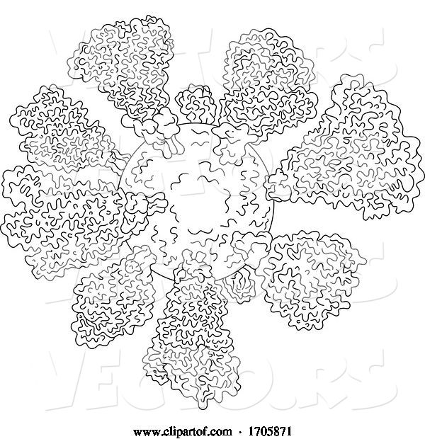 Vector of Coronavirus Cell Miscroscopic Line Drawing