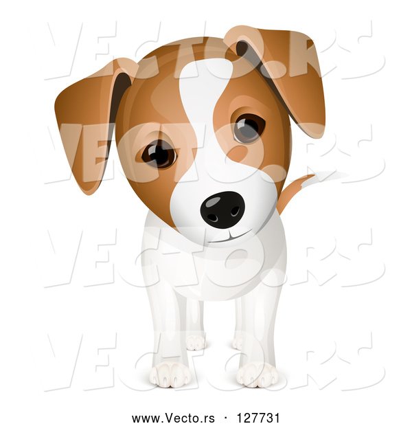 Vector of Curious Jack Russell Puppy Dog