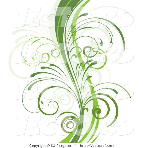 Vector of Curvy Organic Green Vines with Young Curly Stems - Background Border Design Element