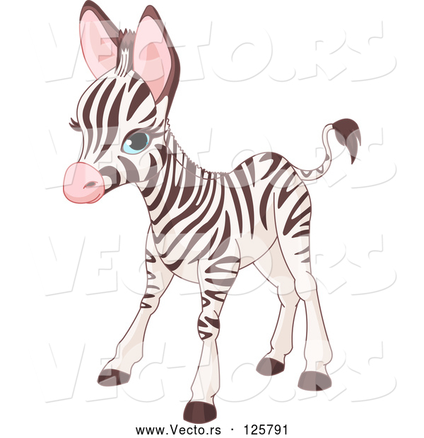 Vector of Cute Baby Zebra Standing