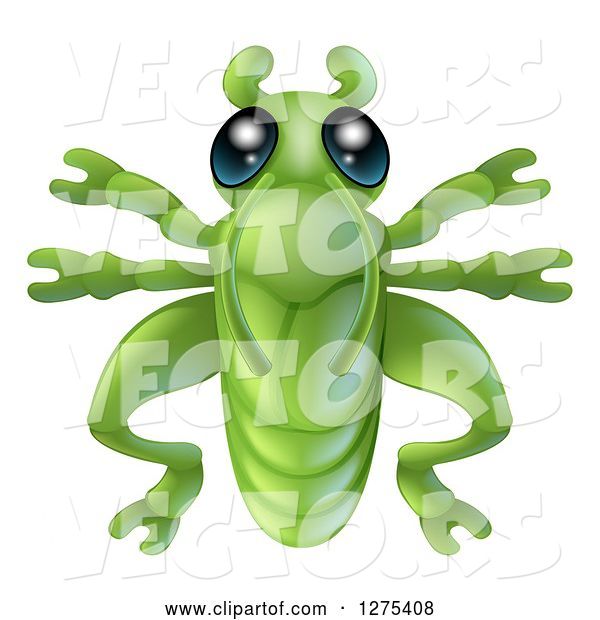 Vector of Cute Grasshopper Bug