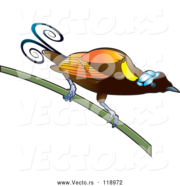 Vector of Exotic Orange Bird on a Stem