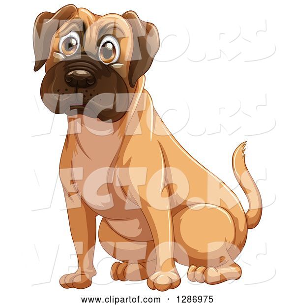 Vector of Fawn Boxer or Mastiff Dog Sitting