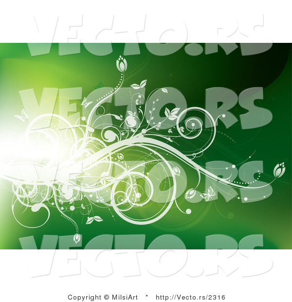 Vector of Flare of Light with White Vines and Butterflies on Green Background Design