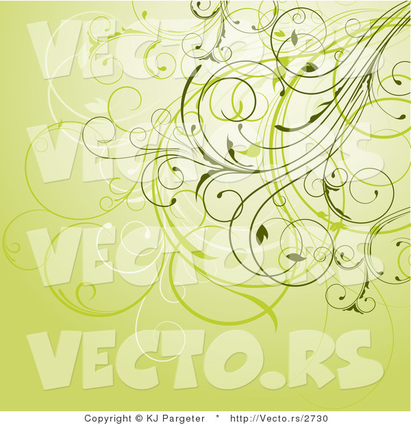 Vector of Floral Swirly Vines Composited on Green Background Design