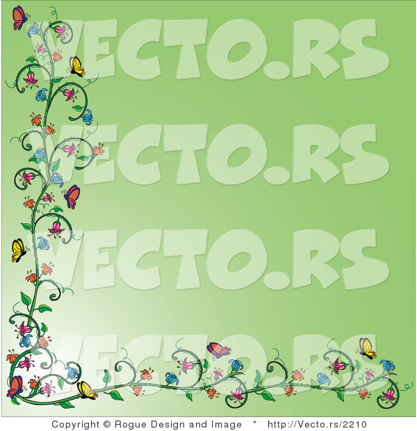 Vector of Flowering Vines and Butterfly Border over Green