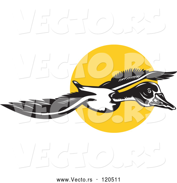 Vector of Flying Goose and Sun