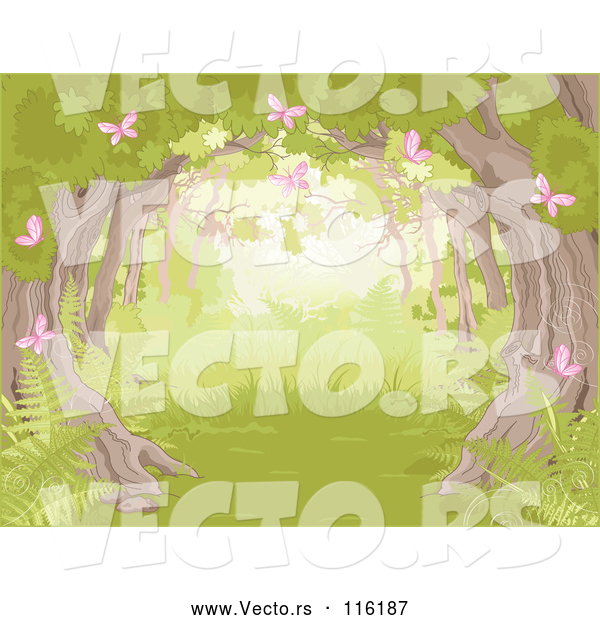 Vector of Forest with a Tree Canopy Ferns and Pink Spring Butterflies