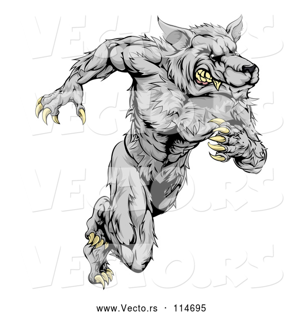 Vector of Gray Muscular Wolf Guy Sprinting