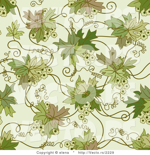 Vector of Green Floral Vines with Tendrils - Seamless Web Design Background