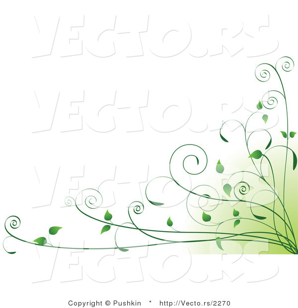 Vector of Green Organic Vines in Bottom Right Corner - Background Design Element
