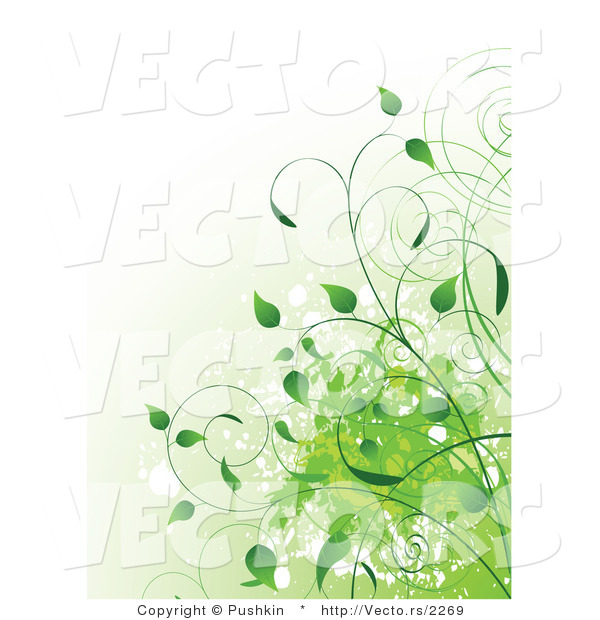 Vector of Green Organic Vines with Splatters - Background Design