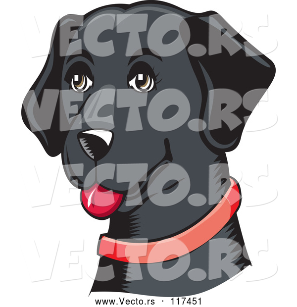 Vector of Happy Black Lab Dog with a Red Collar