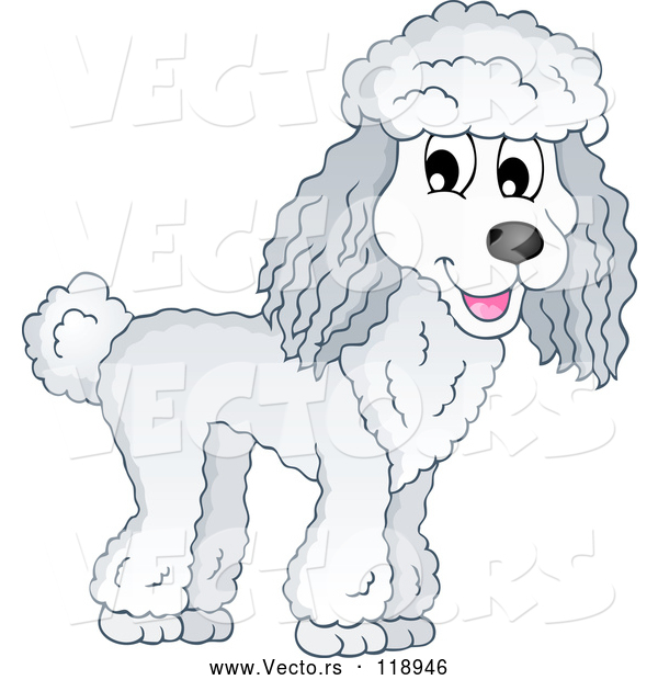 Vector of Happy Cartoon Poodle Dog