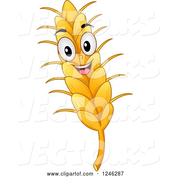 Vector of Happy Cartoon Wheat Mascot
