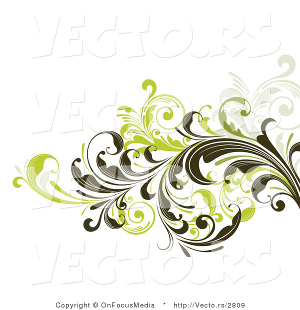 Vector of Leafy Floral Vines Background Design Version 1