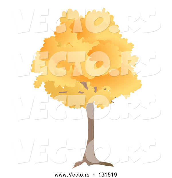 Vector of Oak Tree with Autumn Foliage Leaves in the Fall