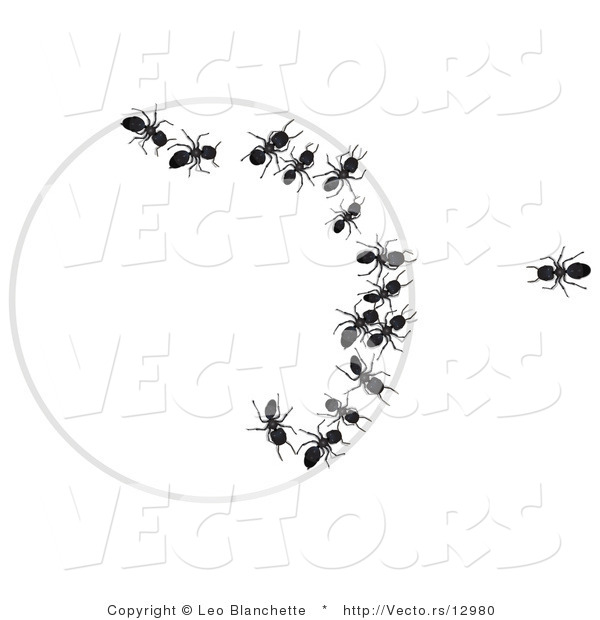 Vector of One Ant Looking at Group of Ants Trapped Within a Circle