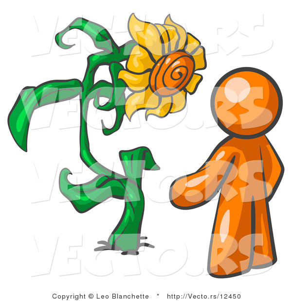 Vector of Orange Guy Proudly Standing in Front of His Giant Sunflower in His Garden